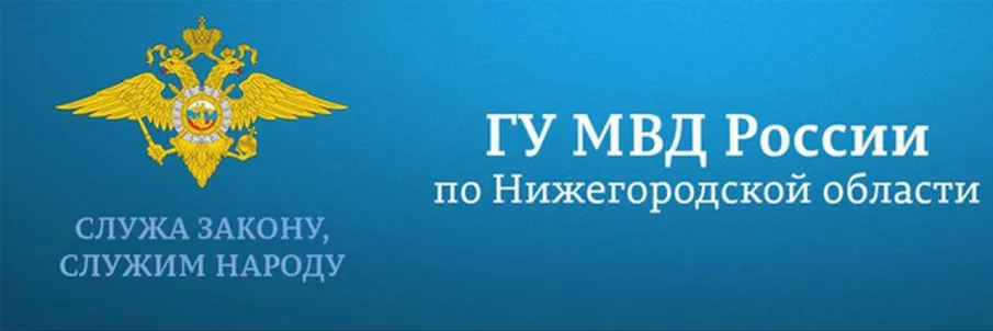 Доклад о наркоситуации в Нижегородской области в 2024 году