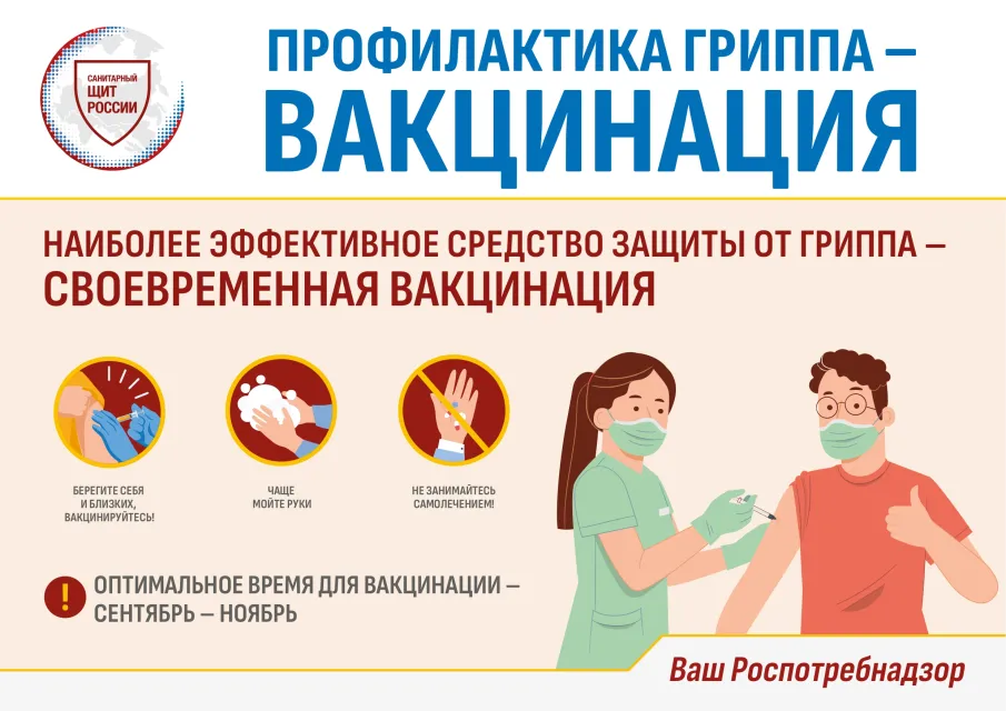 Вакцинация от гриппа: как работает прививка, как часто её надо делать