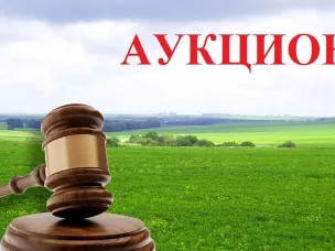 Аукцион по продаже земельных участков на территории п. Красная Горка, п.Охлопково, п. Голышево, п.Ильино