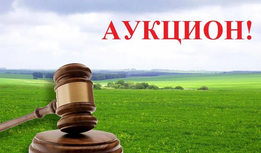 Аукцион по продаже земельных участков на территории п. Красная Горка, п.Охлопково, п. Голышево, п.Ильино