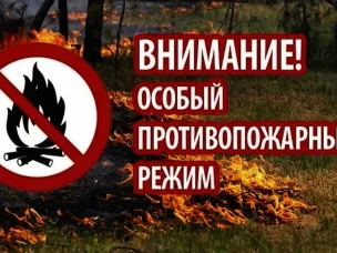 Об установлении на территории Нижегородской области особого противопожарного режима