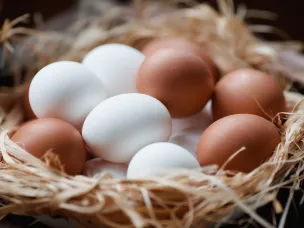 Профилактика сальмонеллеза