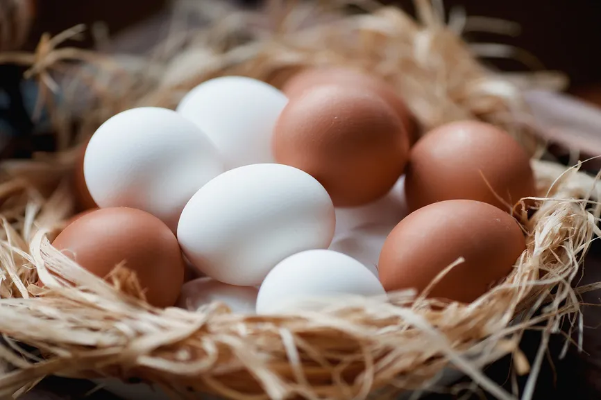 Профилактика сальмонеллеза