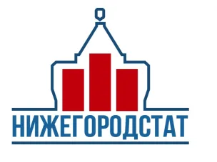 Доступность и использование сети Интернет домохозяйствами Нижегородской области  в 2021году