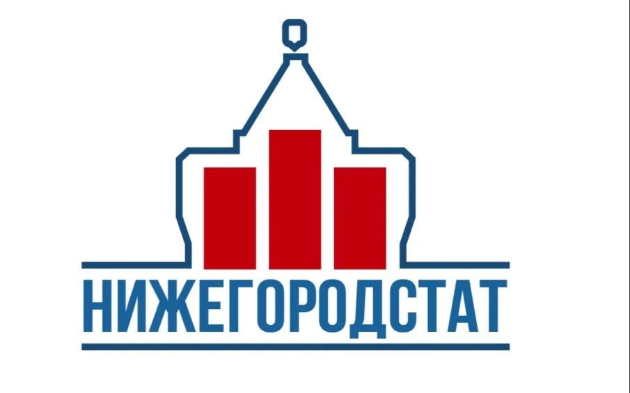 Доступность и использование сети Интернет домохозяйствами Нижегородской области  в 2021году