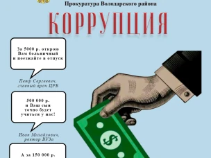 ПРОКУРАТУРА РОССИЙСКОЙ ФЕДЕРАЦИИ. ПРОКУРАТУРА Нижегородской области.  Прокуратура Володарского района