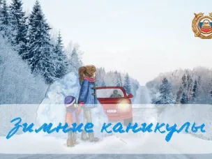 Широкомасштабное профилактическое мероприятие «Зимние каникулы» статовало в Нижнем Новгороде