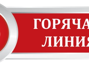 Горячая линия по вопросам снижения документарной нагрузки на ПР
