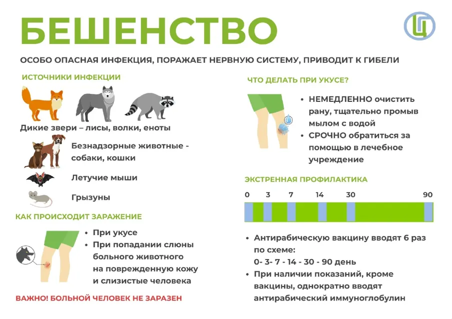 Памятка населению по профилактике бешенства