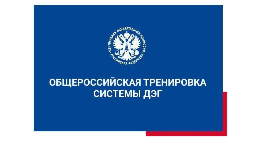 Проводится тренировка электронного голосования ДЭГ.