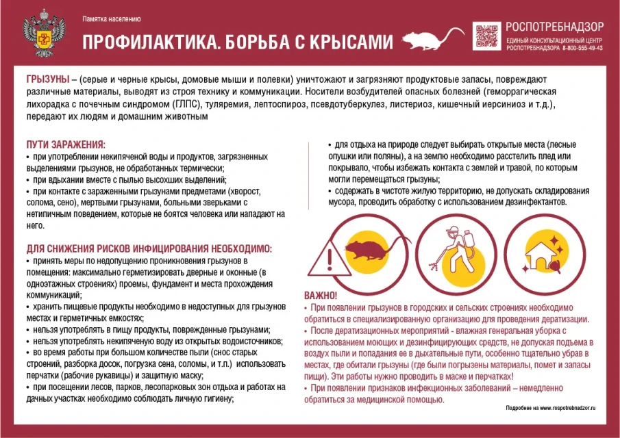 Памятка населению " Профилактика. Борьба с крысами"