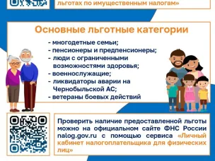 О налоговых льготах, действующих при налогообложении имущества за налоговый период 2024 года
