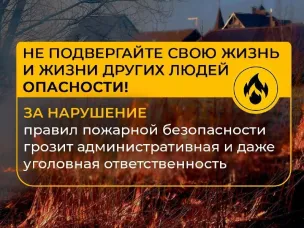 Чтобы дачные выходные не обернулись пожаром!