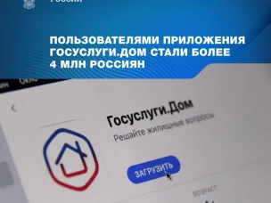 О приложении  "Госуслуги".