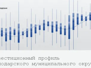В Нижегородской области актуализировали инвестиционные профили муниципалитетов