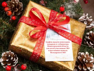График выдачи новогодних подарков от губернатора Нижегородской области для детей участников СВО в населенных пунктах Володарского МО
