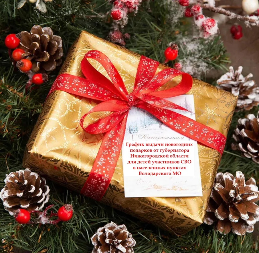 График выдачи новогодних подарков от губернатора Нижегородской области для детей участников СВО в населенных пунктах Володарского МО