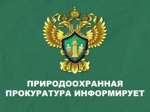 Нижегородская межрайонная природоохранная прокуратура информирует