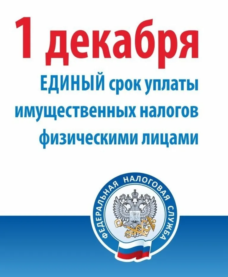 Напоминаем о необходимости уплаты физическими лицами имущественных налогов (земельный налог, транспортный налог, налог на имущество).
