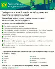 Рассказываем, как не потеряться в лесу
