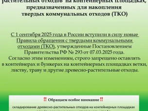 Важные изменения в Правилах обращения с растительными отходами