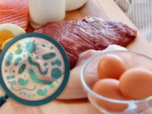 «О профилактике сальмонеллезной инфекции»