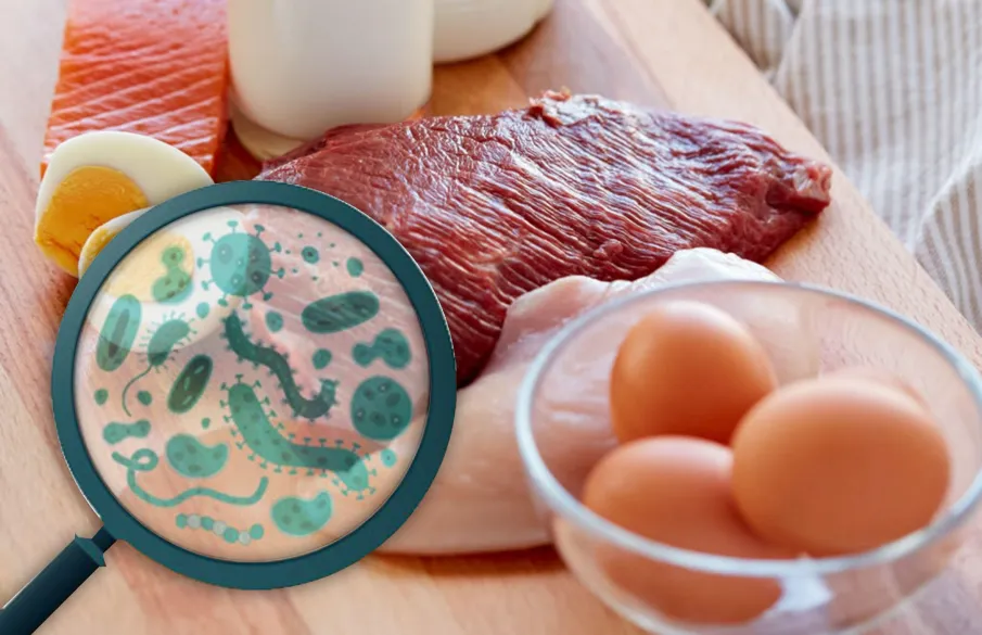 «О профилактике сальмонеллезной инфекции»