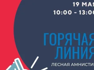 Кадастровая палата по Нижегородской области проведет горячую линию по лесной амнистии