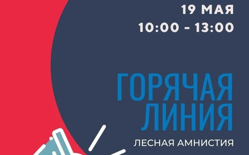 Кадастровая палата по Нижегородской области проведет горячую линию по лесной амнистии